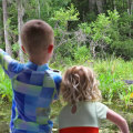 Nature Walks for Family Bonding: An Invigorating Way to Spend Time Together