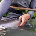 Creative Fishing Trip Ideas for the Whole Family