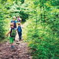 Hiking with Kids: An Outdoor Adventure for the Whole Family