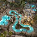 Amusement Park Attractions and Activities