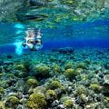 Exploring Snorkeling Trips and Tours