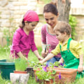 Gardening with Kids: Fun Outdoor Activities for the Whole Family