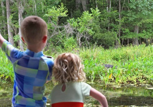 Nature Walks for Family Bonding: An Invigorating Way to Spend Time Together