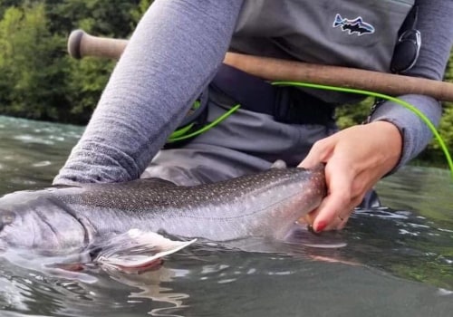 Creative Fishing Trip Ideas for the Whole Family