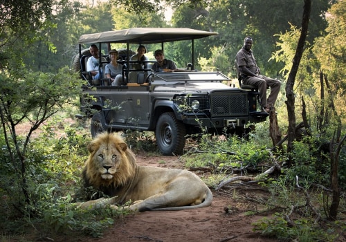Safari Trips and Tours: Your Adventurous Vacation Ideas
