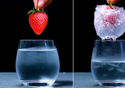 Fun Science Experiments for Kids